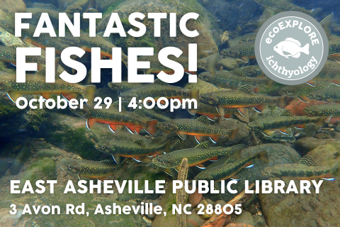 Flyer with school of river trout in water as the background.  Text reads "Fantastic Fishes! October twenty-ninth at four in the afternoon."