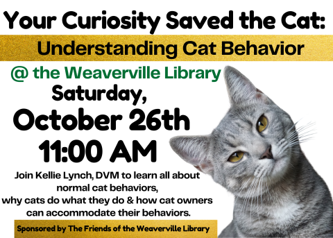 Program flier announcing the date and time. Large image of a curious gray cat looking forward with her head at an angle. 