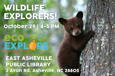 Flyer with background picture of a bear cub on a tree.  Text reads "Wildlife Explorers with EcoExplore at East Asheville Public Library from four to five p.m. on October twenty ninth."