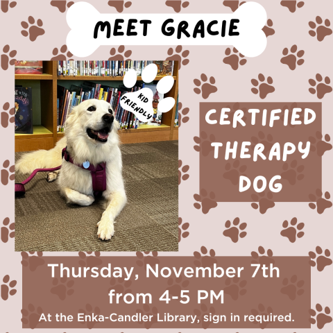 Gracie the therapy dog pictured with book shelf in background. Certified Therapy Dog at the Library on 11/7 from 4-5 PM.