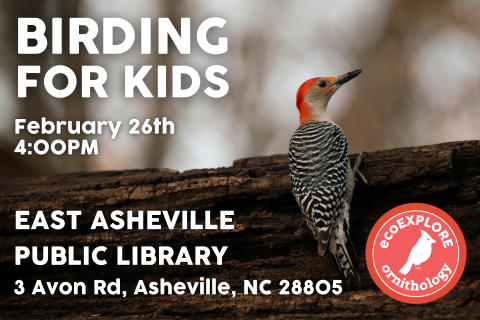 Flyer with background being a photograph of a red-bellied woodpecker on a tree branch.  Text reads "Birding for Kids on February 26th at 4:00 PM at the East Asheville Public Library located on 3 Avon Road, Asheville."