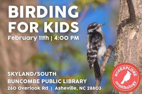 A songbird perched on a tree next to the words, Birding for Kids