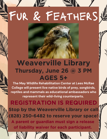 Brown background, image of hawk, details of program, time and locations. "Registration is Required" in red text.
