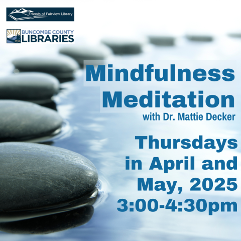 Flat, round, black rocks arranged in a curve on a thin layer of water