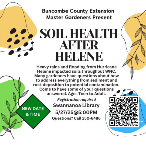 Shades of green, blue and tan, leaves and blobs of what could be soil. New diamond shape saying different date and time