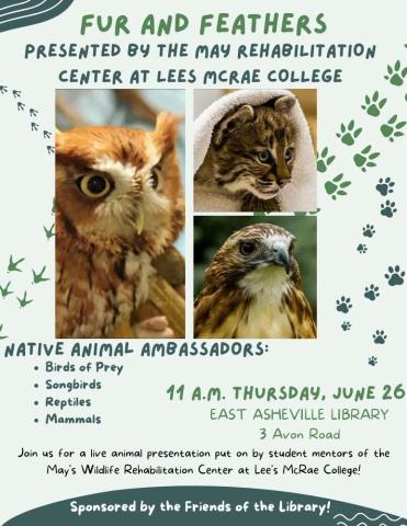 Flyer with pale green background and various animal tracks.  Three photos take up the middle of the flyer: an owl, a hawk, and a bobcat.  Text reads Fur and Feathers presented by the May Rehabilitation Center of Lees McRae College.  Possible live animal ambassadors include birds of prey, songbirds, reptiles, mammals.  Happening June 26 at 11 A.M. at the East Asheville Library.