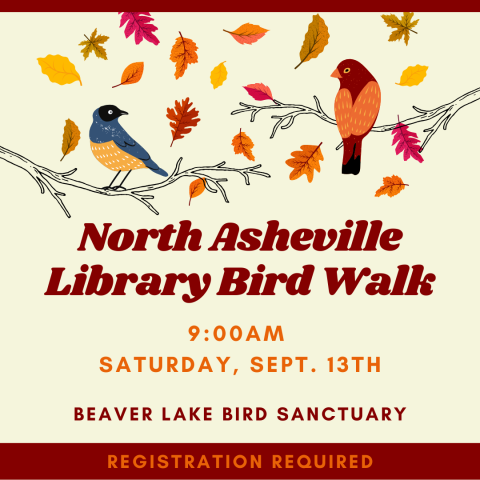 North Asheville Library Bird Walk
