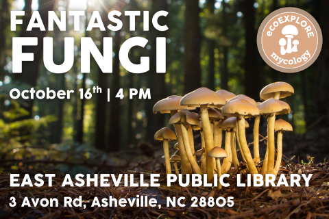 Flyer where the background is a photo of a forest floor, a group of mushrooms is clustered to the right.  Text reads 'The NC Arboretum's program ecoEXPLORE presents Fantastic Fungi at the East Asheville Library located at 3 Avon Road, Asheville on Thursday, October 16 from 4 P.M. to 5 P.M.'