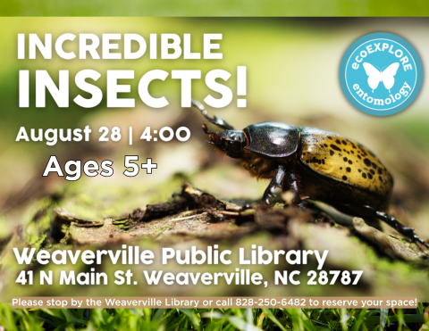 Image of beetle on green background with white text providing program and registration information.