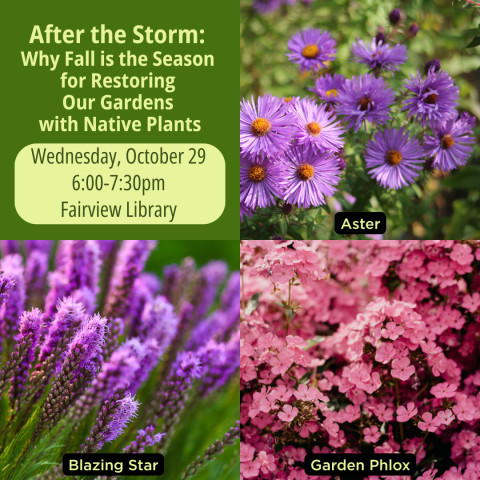 3 pictures of flowers native to WNC