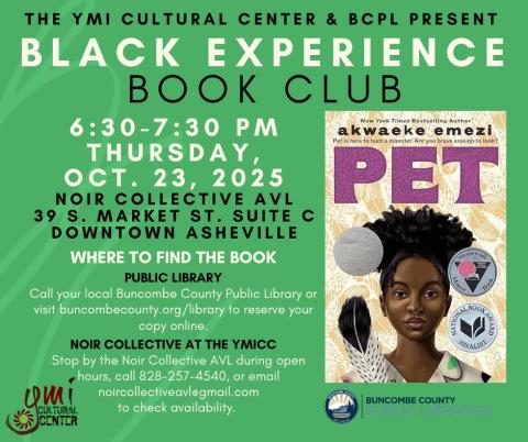 Cover of the paperback version of the book Pet against a green background. The cover features a young woman with dark brown skin, her hair up, wearing a white shirt with black piping. A black-tipped feather stands in the foreground. The cover also includes silver seals showing the book was a Walter Award winner, National Book Award finalist, and Stonewall Book Award honoree.  