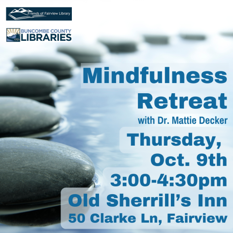 flat black stones resting in shallow water