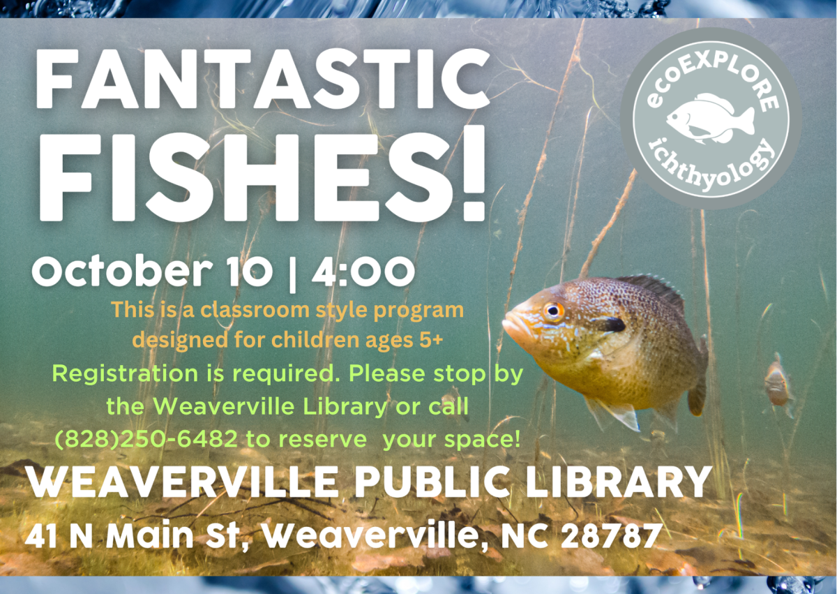 Close up image of a fish swimming underwater. The flyer includes text with program and registration info.