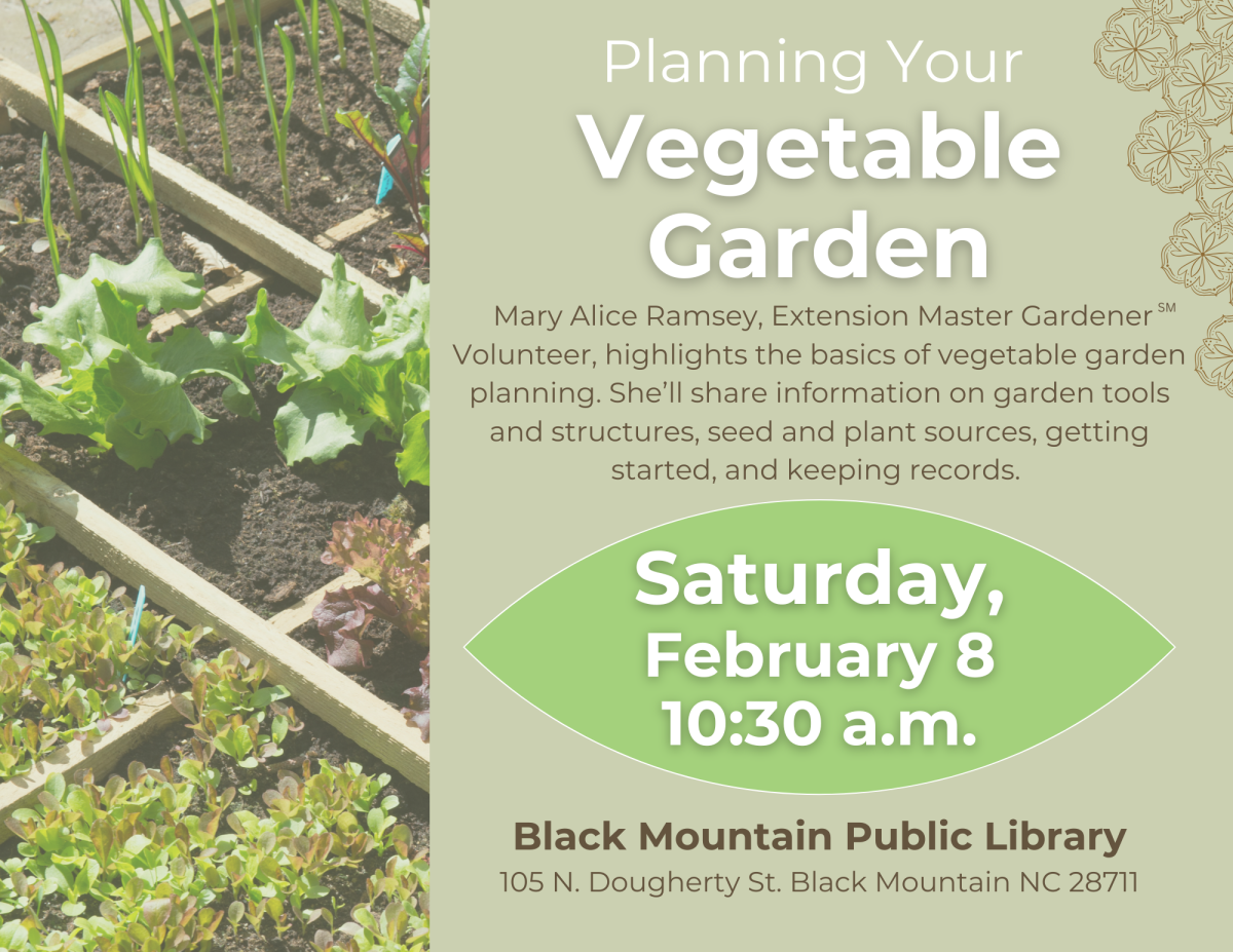 plan your vegetable garden