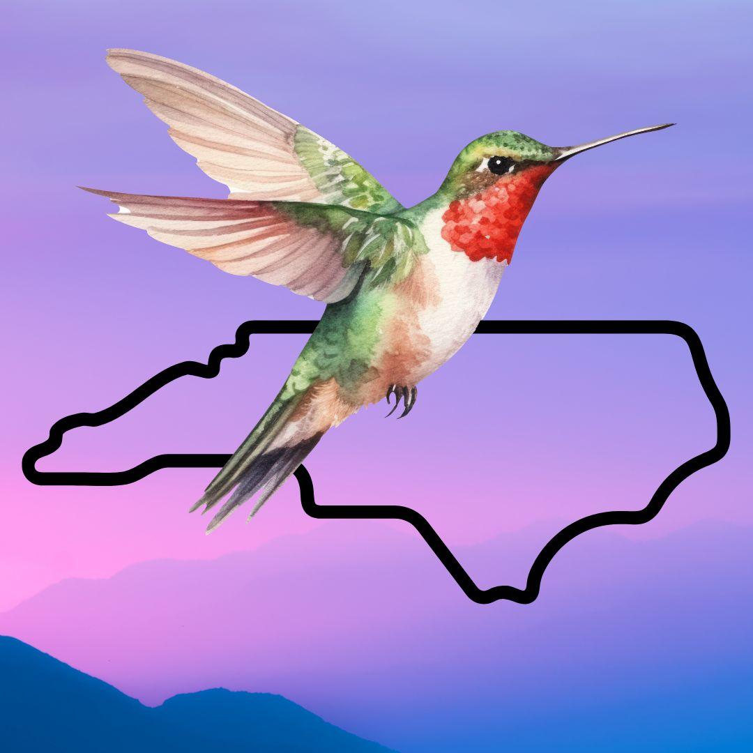 Hummingbird and map of North Carolina