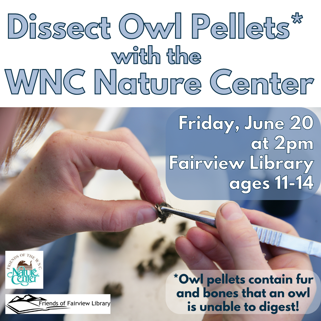 Close up of hands with a tweezer and furry bits