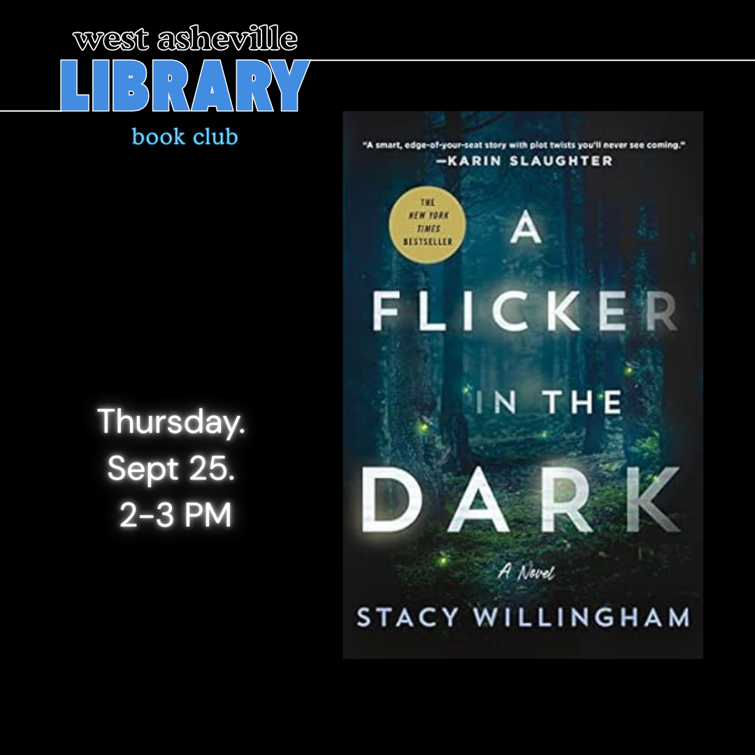 a flicker in the dark book image