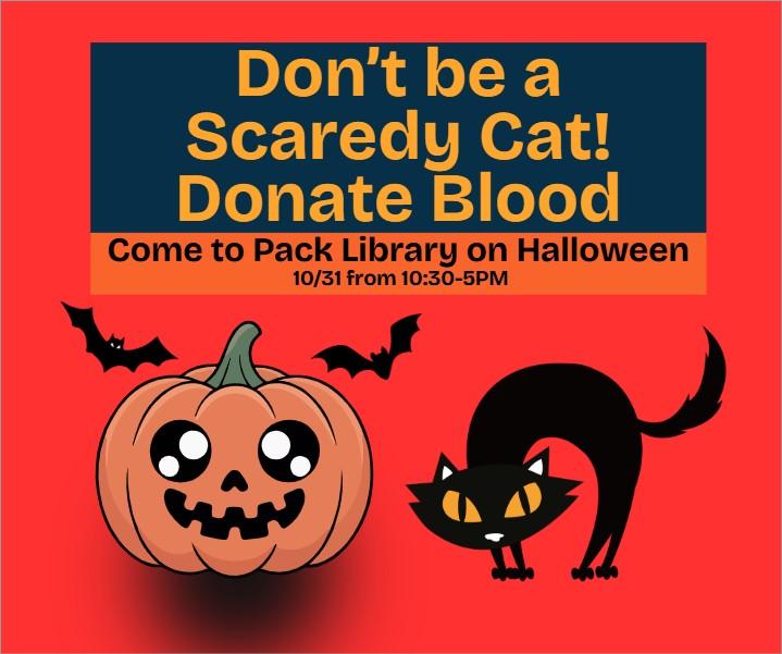 Pumpkin and black cat