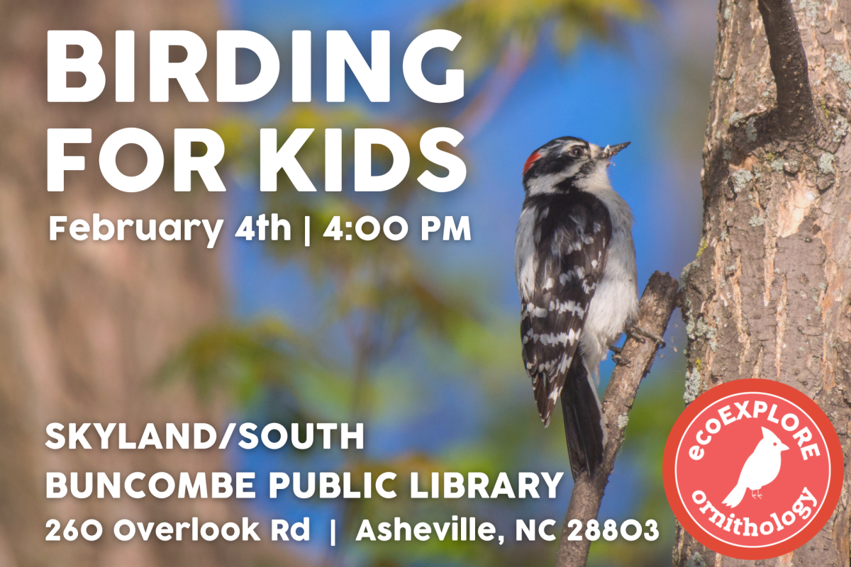 Birding for kids in WNC through the NC Arboretum and their ecoExplore program.